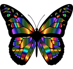 Energy Mindset Transform Your Life
